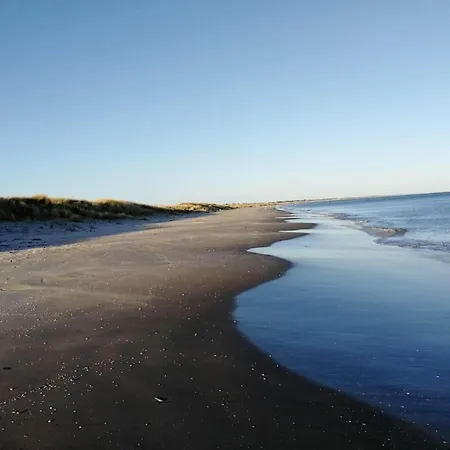 度假居 6 Person In Albaek-by Traum *